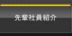 先輩社員紹介