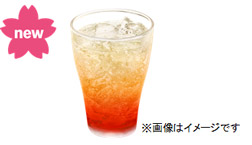 マックフィズ 北海道赤肉メロン(果汁1%)