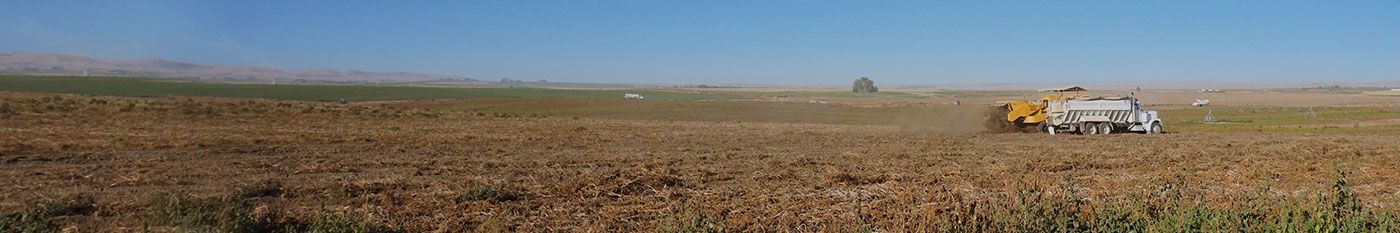 sdgs_index_main_bg_pc