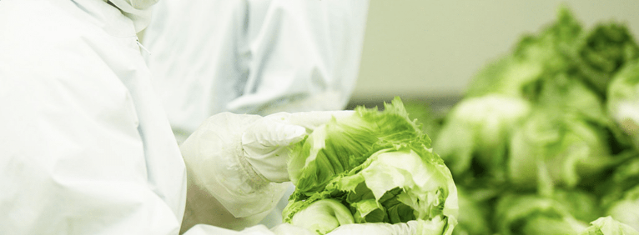 品質を見極めるスペシャリスト。