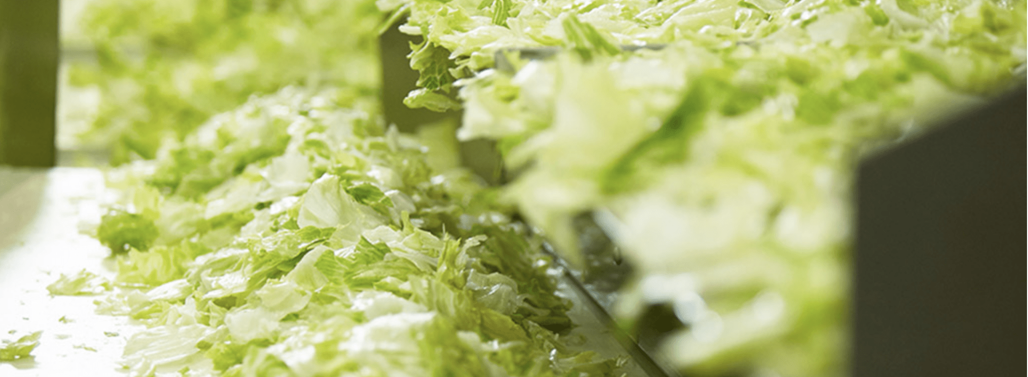 ハンバーガーのことを考えた、カット方法です。