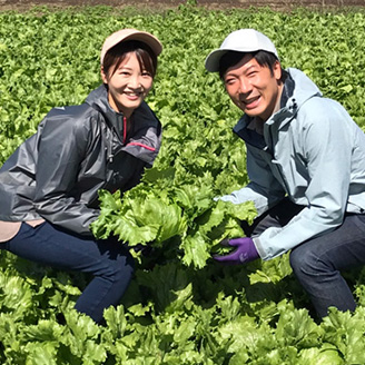 国産食材の使用