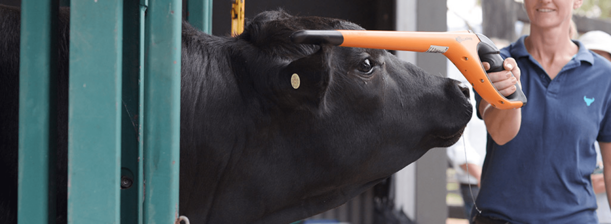一頭一頭の牛は細かくデータ管理されています。