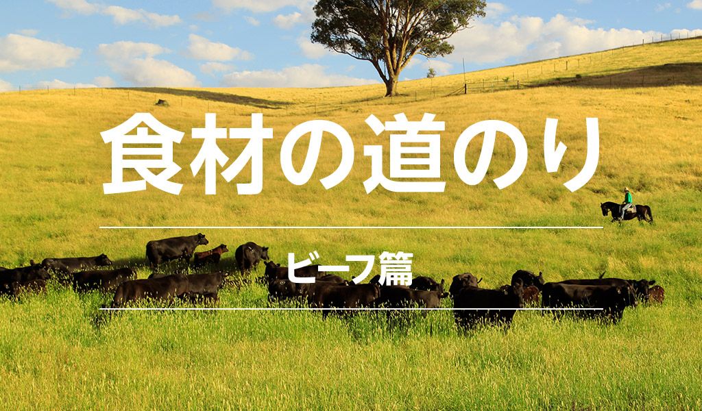 食材の道のり ビーフ（牛肉）篇