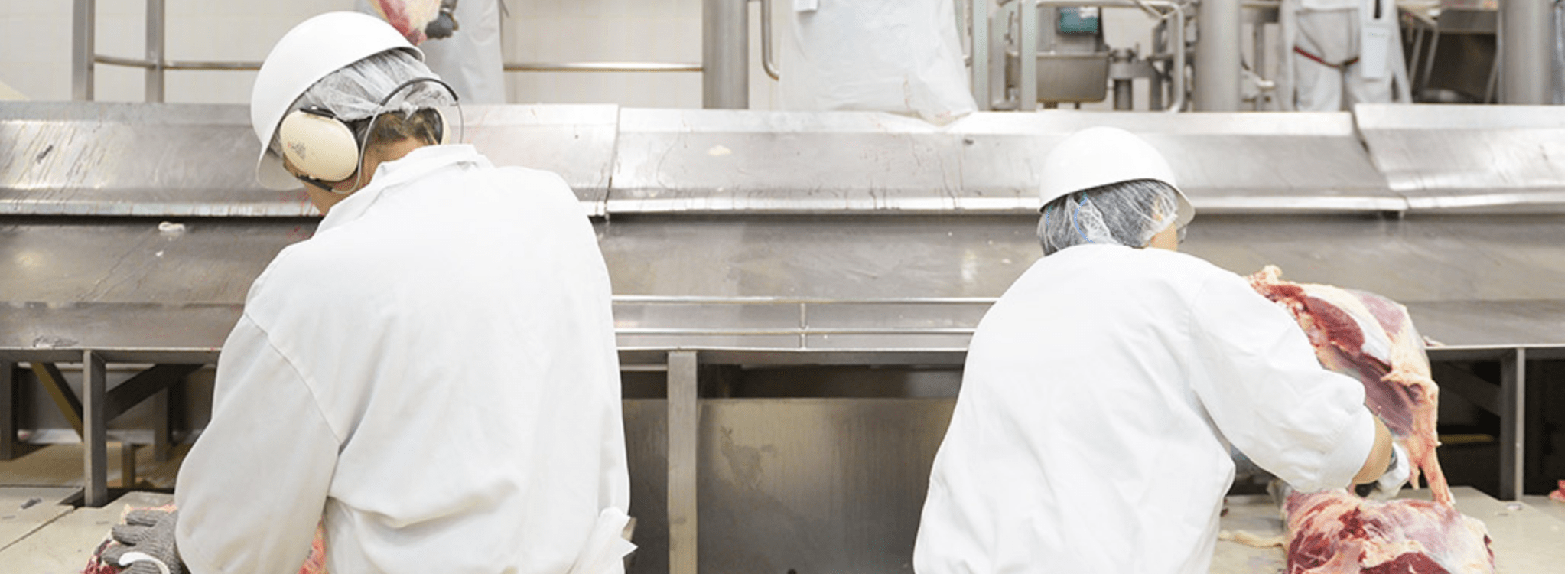 技術力の高いスタッフによって捌かれます。