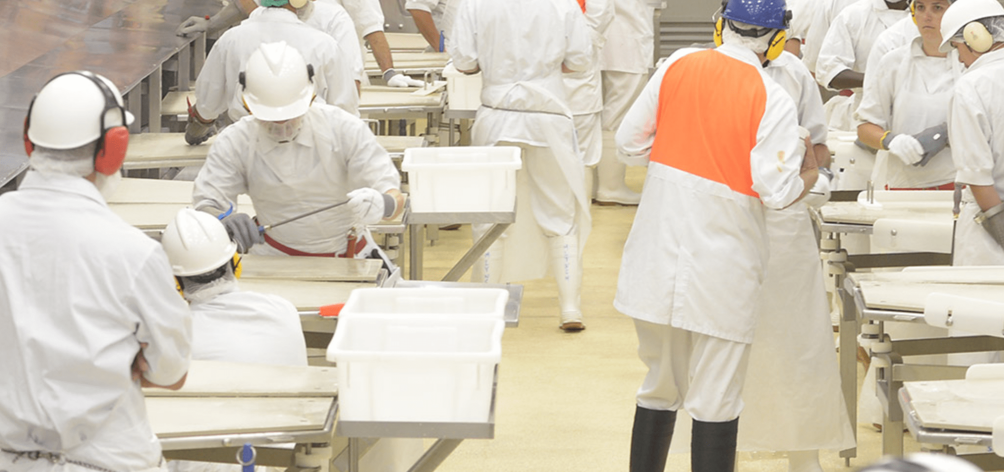 パティのおいしさと品質の秘密。