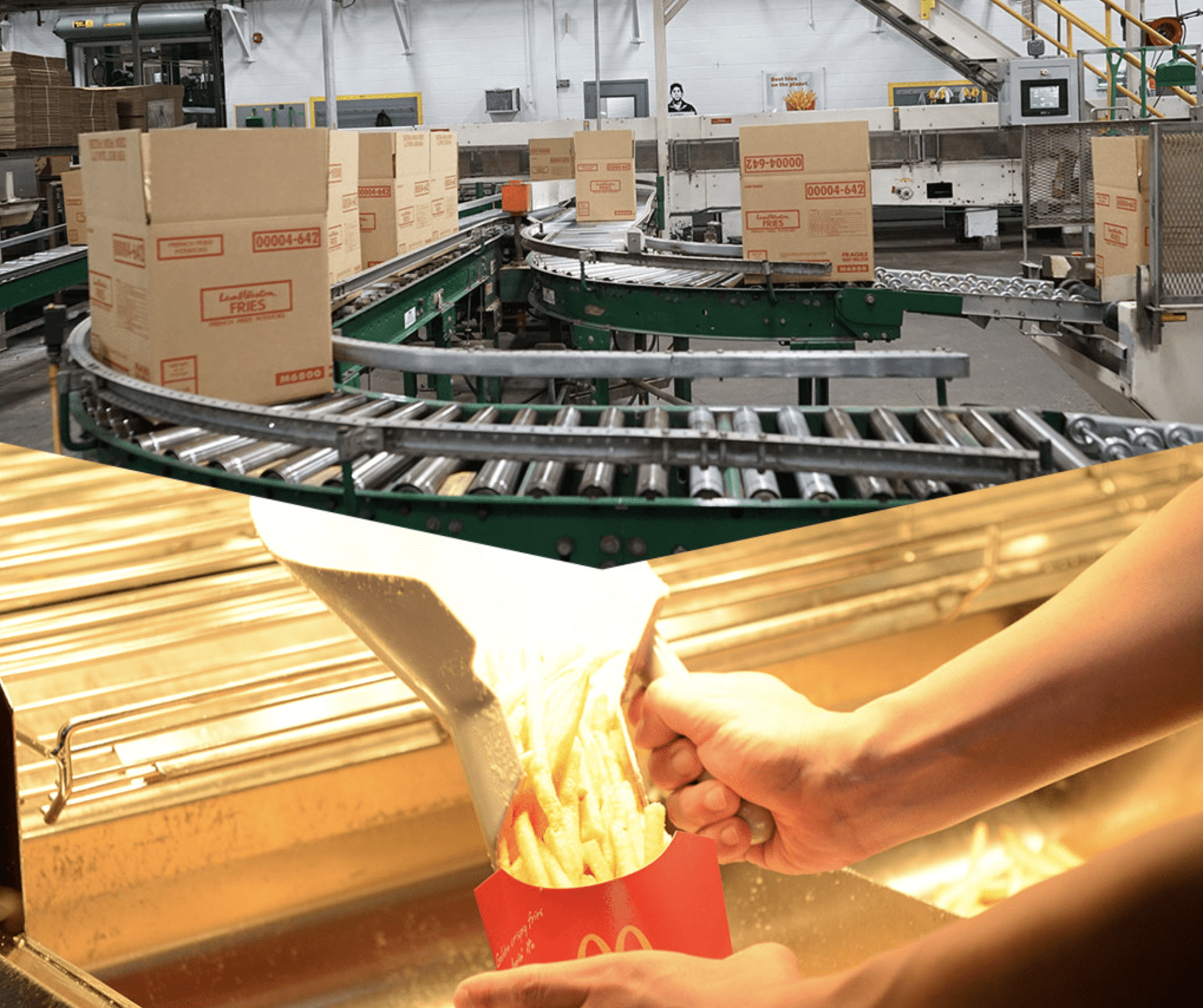 保存料を使わず、各国に出荷。