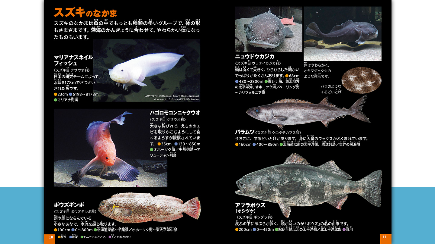 今回のハッピーセット 本の紹介 ファミリー マクドナルド公式 今回のハッピーセット 本の紹介 ファミリー マクドナルド公式