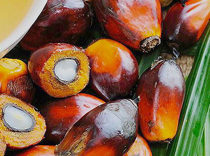 パーム油 RSPO認証