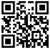 ごはんてりやきチキンフィレオ