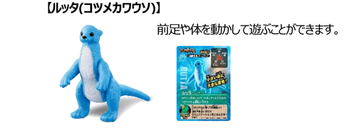 【ルッタ（コツメカワウソ）】