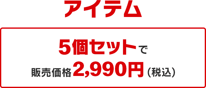 アイテム 5個セットで販売価格2,990円(税込)