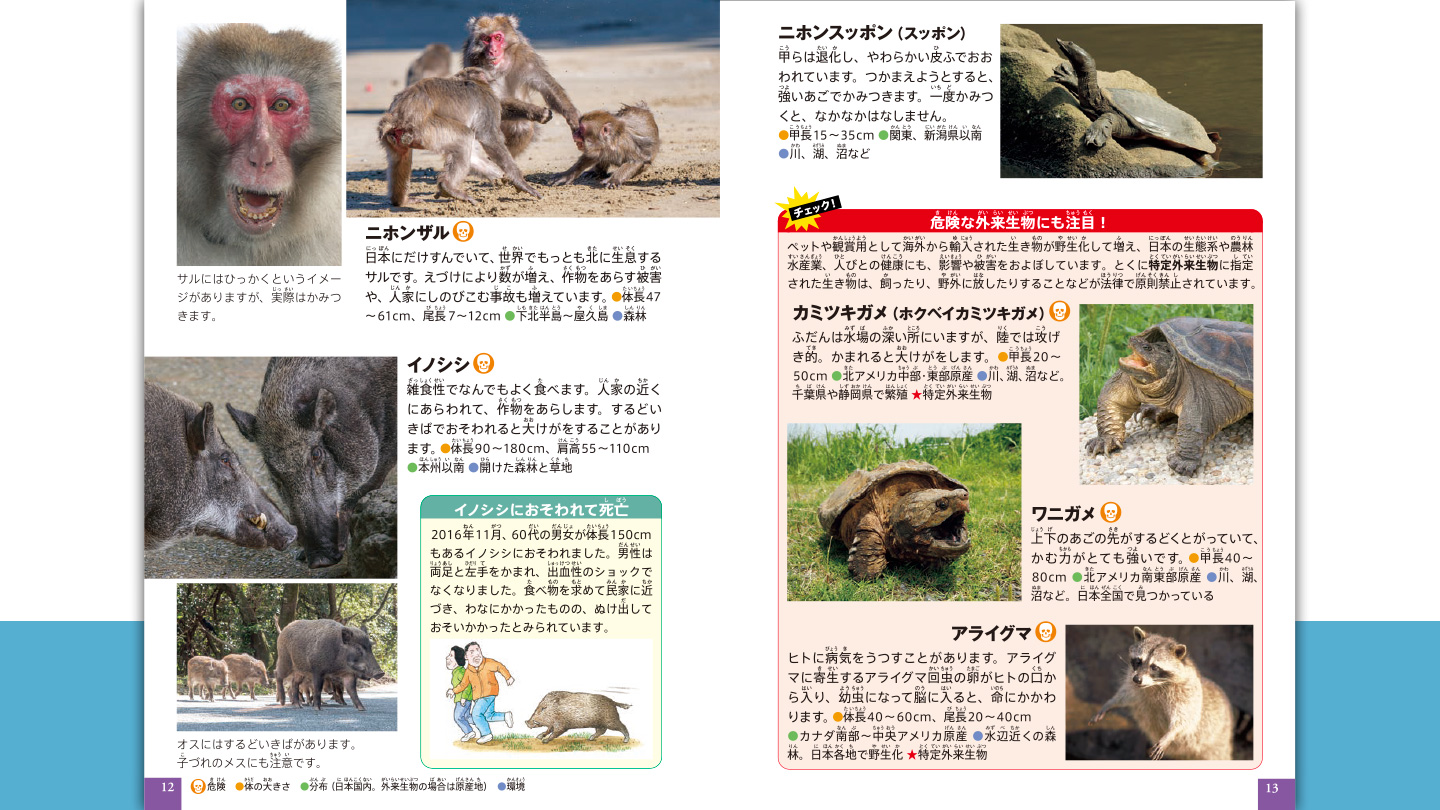 ハッピーセット「危険生物　日本の海と陸　クイズ＆ゲームつき」