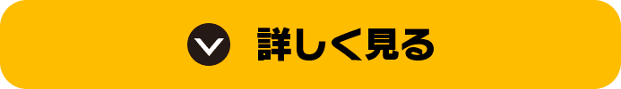 詳しく見る