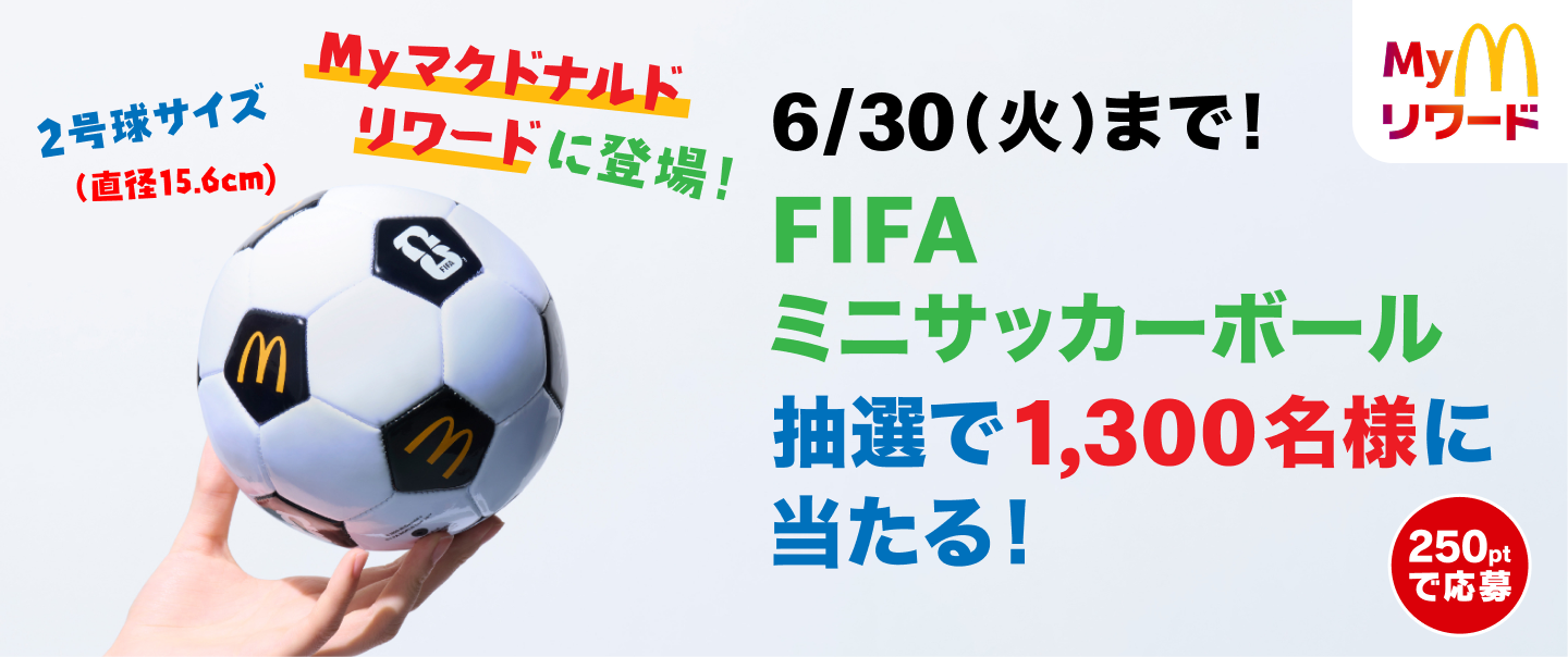 FIFA ミニサッカーボール