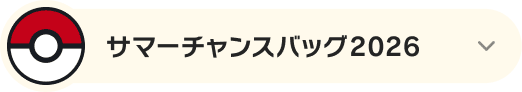 サマーチャンスバッグ2026