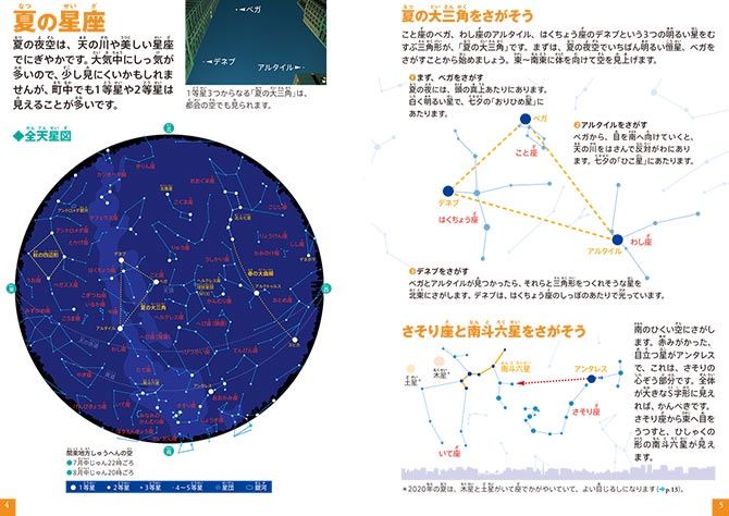 ラブリーベガ ポケモン 図鑑 ただぬりえ