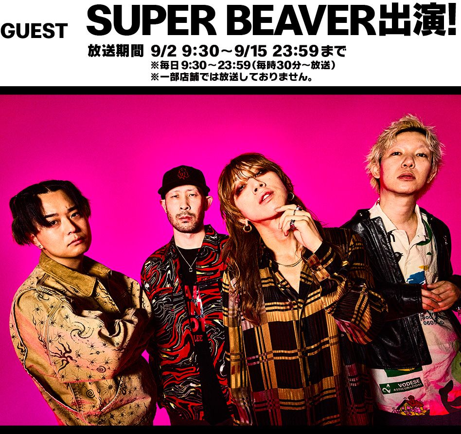 GUEST SUPER BEAVER出演！