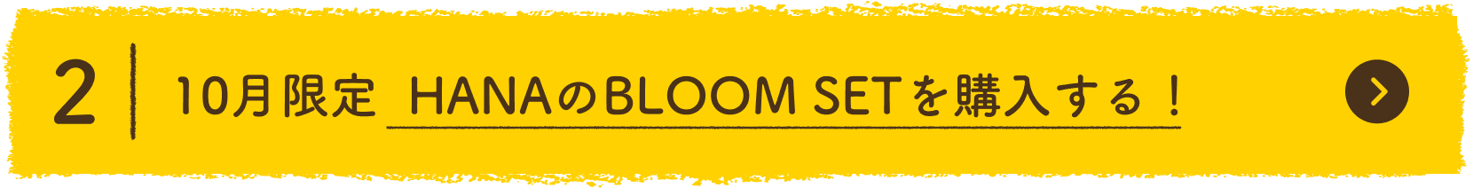 2 10月中にHANAのBLOOM SETを購入する！