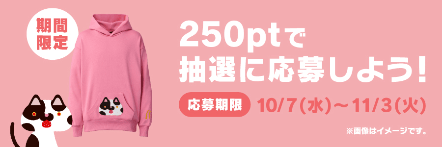 250ptで抽選に応募しよう！
