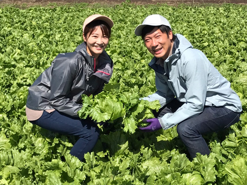 長野県北佐久郡御代田町レタス農家 島崎夫妻