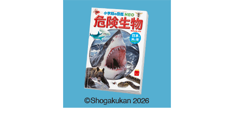 Picturebook Dangerous Animals