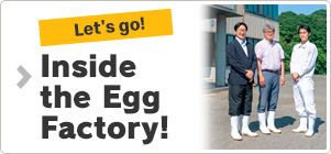 Inside the Egg Factory!