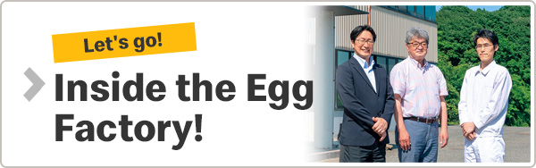 Inside the Egg Factory!